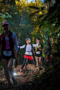 BIB: 2552
                            <button type="button" onclick="openModal(19234919)" class="btn btn-primary btn-sm float-right btn-popup" data-toggle="modal" data-target=".modal-high-quality">
                        <i class="fas fa-shopping-cart"></i> Add to Cart
                    </button>
                                            <button type="button" onclick="isThisMe(19234919, true)" class="btn btn-success btn-sm float-right btn-popup btn-isme hidden" data-toggle="tooltip" data-placement="bottom" title="นี่คือรูปของคุณใช่ไหม คลิกที่นี่เพื่อเอาเข้าอัลบั้ม">
                        <i class="fas fa-plus"></i> Add to album
                    </button>
                    <button type="button" onclick="isThisMe(19234919, false)" class="btn btn-warning btn-sm float-right btn-popup btn-isnotme hidden">
                        <i class="fas fa-ban"></i> Remove from album
                    </button>